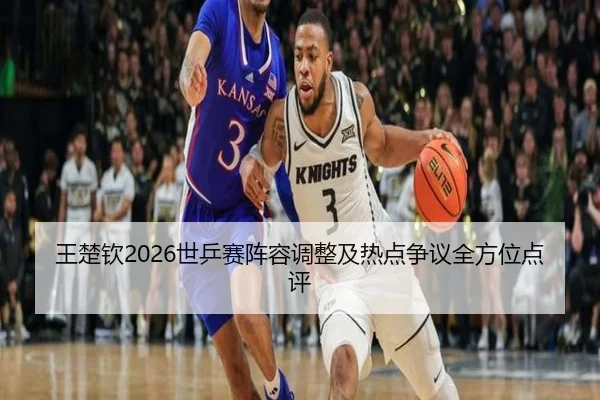 王楚钦2026世乒赛阵容调整及热点争议全方位点评